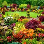 Bộ sưu tập ảnh phong cảnh vườn bách thảo đầy sắc màu