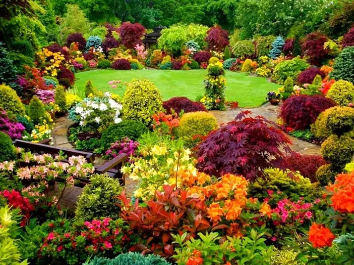 Bộ sưu tập ảnh phong cảnh vườn bách thảo đầy sắc màu 5